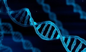IT Built for Biotech